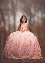 Rent The Mariposa Gown In Blush 3d Butterfly Lace Small Girl Dress Gowns For Girls Girls Dresses
