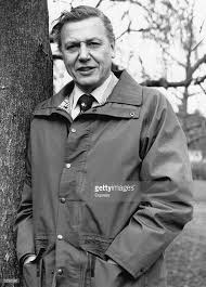 David attenborough blogs, comments and archive news on economictimes.com. British Naturalist And Broadcaster Sir David Attenborough In 2021 David Attenborough David Naturalist