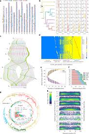 Image result for Gossypioides kirkii
