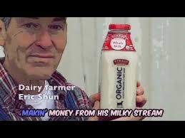 The TreeSpirit Project