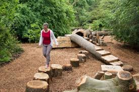 Frau Die Entlang Eines Baumstammes Am Baumpfad Geht A Long Log Klo Garten Diy Ideen Hinterhof Spielplatz Naturspielplatz Kinder Garten