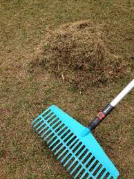 Dies sollte geschehen, sobald kein nachtfrost mehr kommt. Rasenpflege Im Fruhjahr Tipps Zum Vertikutieren Dungen Und Mahen