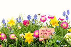 Frühlingsbilder, blumen, landschaftsbilder, rosenbilder und verschiedene andere fotos downloaden die blumenfotos liegen kostenlos ca. Bunte Blumen Wiese Frohe Ostern Buy This Stock Photo And Explore Similar Images At Adobe Stock Adobe Stock