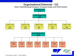 Org Structure Sap
