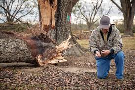 Maybe you would like to learn more about one of these? Georgia Pecan Farmers Have Thrived For A Century After Hurricane Michael They Re Unsure If They Ll Survive Another Generation Atlanta Magazine