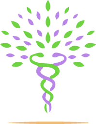 Naturopathie Quels Sont Les Aliments Acides Acidifiants Alcalins Ou Basiques