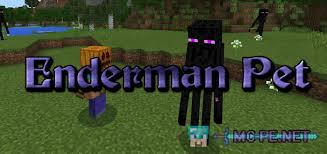 Now you can get them. Enderman Pet Addons Mcpe Minecraft Pocket Edition Downloads