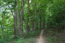 East fork is a huge start park but for most of the hiking you must go to the other side of the lake which is a 25 minute drive from the campground. East Fork State Park East Cincinnati Outdoors Recreation Parks Green Spaces