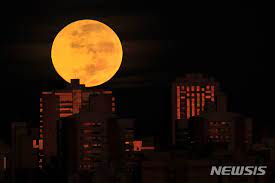 블러드문 안개의 세계 1회차 1부 마인크래프트 악어 blood moon the fog 젤전 야숨 블러드문 언제 뜨지 피의달 붉은 달 mijah. Ue1ng7sfxgsvjm