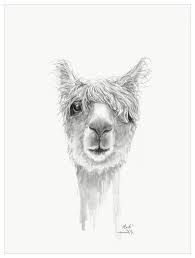 Llama Draw You A Portrait Mark Wall Art Animal Sketches Farm Animal Paintings Dog Portraits