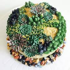 Please contact us for a free consultation! Pin On Lifestyle