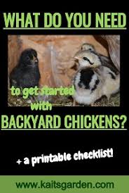 Besides being edible, both meat and eggs, chicken is often a livelihood for some people. What Do You Need To Get Started With Backyard Chickens Kaits Garden