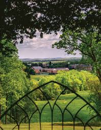 Image result for Misty Green 1958 Plymouth