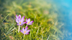 Enjoy and share your favorite beautiful hd wallpapers and background images. Download 4k Wallpaper Pack 1 Maasters Webseite
