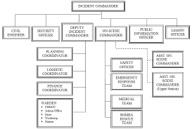 suggested organization chart for emergency management team