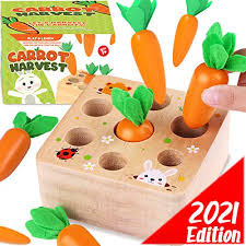 Designed in u.s.a by adducate. Cheffun Wooden Montessori Toys For Toddlers 1 Year Old Baby Toy Carrots Harvest Shape And Sizes Sorting Wooden Puzzle
