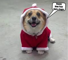 Funny New Years Memes Funny New Years Memes Funny Dog Memes Funny New Year