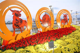 Xem tuổi xông đất 2021. Bnhvojn50lej9m