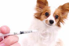 May 29, 2021 · 1. Information About Vaccinations In Dogs In The U A E
