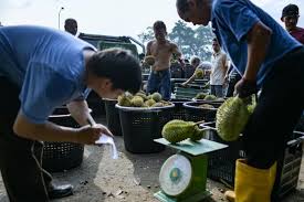 Lewat pesta durian, malaysia gaet wisatawan. Durian Dash In Malaysia As Bumper Crop Sends Prices Tumbling Se Asia News Top Stories The Straits Times