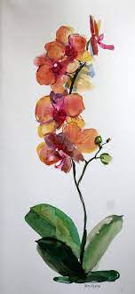 Orchid Watercolor Set Of 3 Original Illustration Floral Painting Flower Wall Art Painting Orchid Flower Gift For Her Pink Orange Yellow Orchids Painting Flower Painting Watercolor Flowers