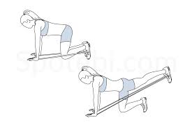 Band Donkey Kicks Illustrated Exercise Guide