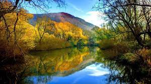 Check The Best Collection Of Download Full Hd Wallpapers 1080p For Desktop Laptop Tablet And Mob Autumn Wallpaper Hd Hd Wallpapers 1080p Hd Nature Wallpapers