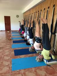 Sign up now today to start watching your first free video! Iyengar Yoga Solihull Home Facebook