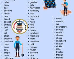 Cardinal Ordinal And Roman Numerals Lessons For English Vocabulary Words English Words Learn English Words