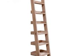 Additionally, the nine tiers make it easier to place all your plants in one central place. Talbot Raw Oak Wooden Ladder Shelf