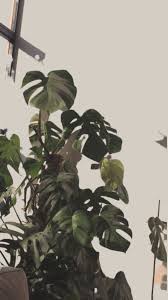 Jun 25, 2021 · statement wallpaper, gold detailing and crushed velvet will all do the trick. Aesthetic Iphone Homescreen Wallpaper Iphone Homescreen Wallpaper Homescreen Wallpaper Iphone Wallpaper App