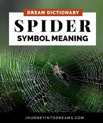 Pin By Chelle Stein On Spider Dream Meaning Spider Dream Meaning Dream Meanings Dream Interpretation Symbols