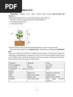 Image result for Stemodiopsis buchananii