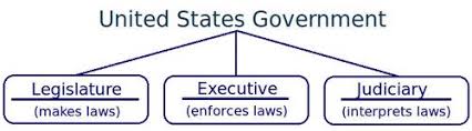 The Branches Of Government