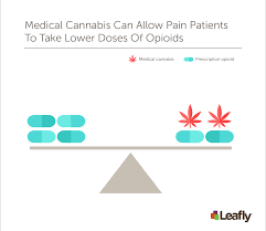 The Biology Of Cannabis Vs Opioids For Pain Relief Leafly