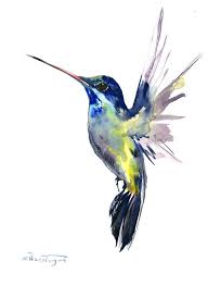 Drawing Birds Flying In The Sky Painting Flying Hummingbird Artwork Original One Of A Kind Watercolor Painting 12 X 9 In Flying Bird Art Minima Hummingbird Painting Nature Art Prints Etsy Art Prints