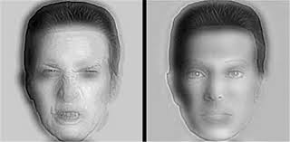 Image result for illusion pictures