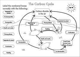 Image 500 354 In 2020 Carbon Cycle Cycle Teaching Resources