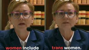 ABC's Sarah Ferguson slammed for 'comical' interview with Michael Sukkar