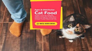 Royal canin adalah salah satu produsen makanan hewan peliharaan anjing dan kucing premium. Wa 0852 8000 8050 Distributor Makanan Kucing Universal