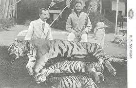 H H Nizam Asaf Jah Bless On Tiger Hunt Hunting Old Photos British