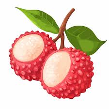 Lychee – vải
