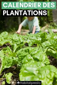 Quand et comment le cultiver ? Epingle Sur Jardinage