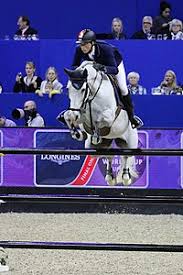 Martin fuchs and clooney clinch the win in front of a home crowd in basel, scoring 37.61! Martin Fuchs Wikipedia