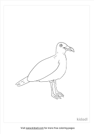 This seagulls coloring pages will helps kids to focus while developing creativity, motor skills and color recognition. Seagull Coloring Pages Free Birds Coloring Pages Kidadl