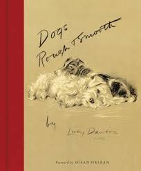 Dogs Rough And Smooth Ebook By Lucy Dawson Rakuten Kobo Dogs Teach Dog Tricks Dawson