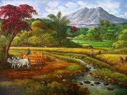  Rice Field Views Pemandangan Lukisan Alam Yang Indah