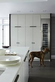 Pin By G Palm Beach On House Kitchen Design Trends Kitchen Design Small White Modern Kitchen