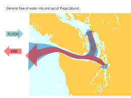 tides currents reading the tables ppt download