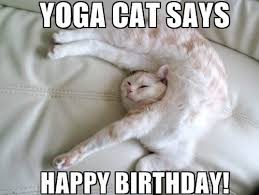 45 Cat Birthday Memes Wishesgreeting Memes have become an inseparable part of our culture.